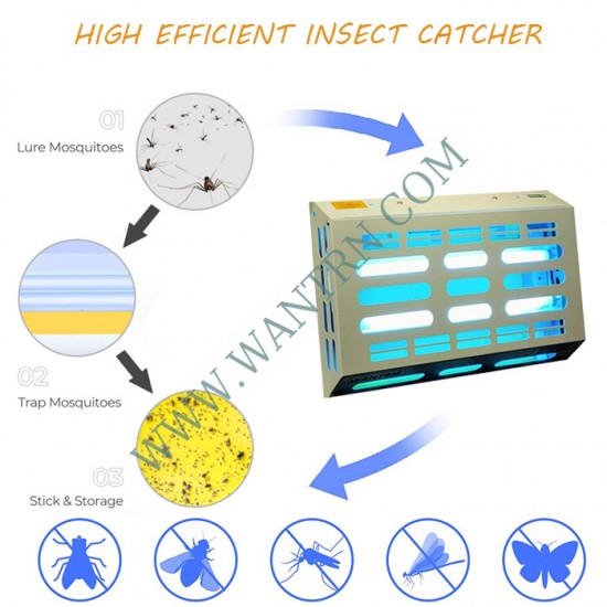 insect catcher