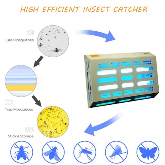 insect catcher insect catcher